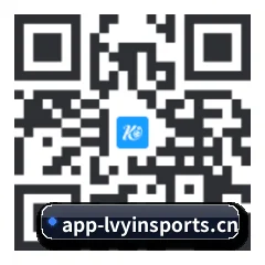 系统版 iOS 二维码